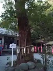 八雲神社(神奈川県)