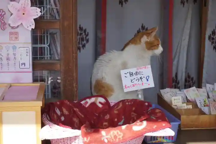 前玉神社の動物