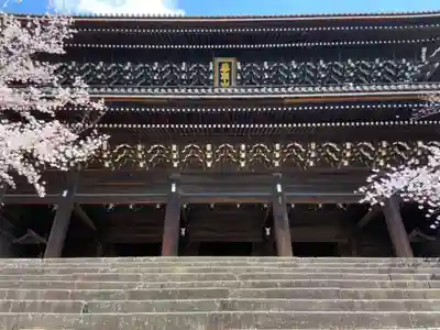 知恩院の本殿・本堂