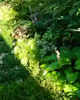 寿量山 速成寺の周辺