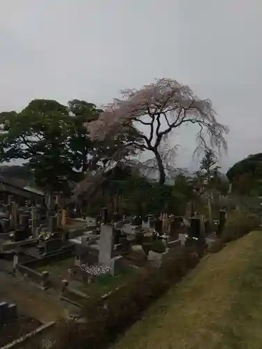 時宗総本山 遊行寺（正式：清浄光寺）(神奈川県)