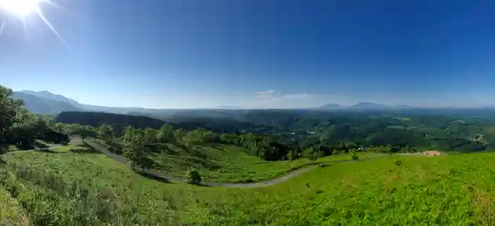 小萩山稲荷神社の景色