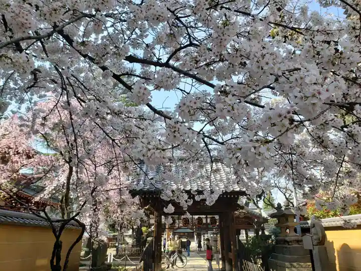新井薬師(梅照院)の自然