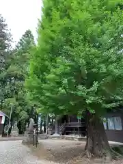 塩竈神社の建物その他