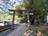 渋谷氷川神社の鳥居