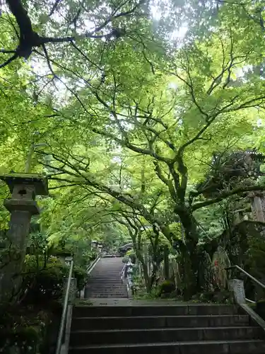 最乗寺（道了尊）(神奈川県)