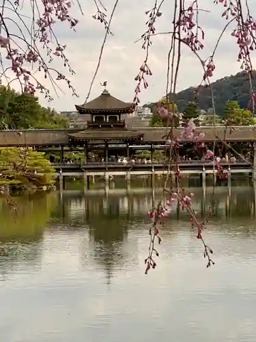 平安神宮の景色