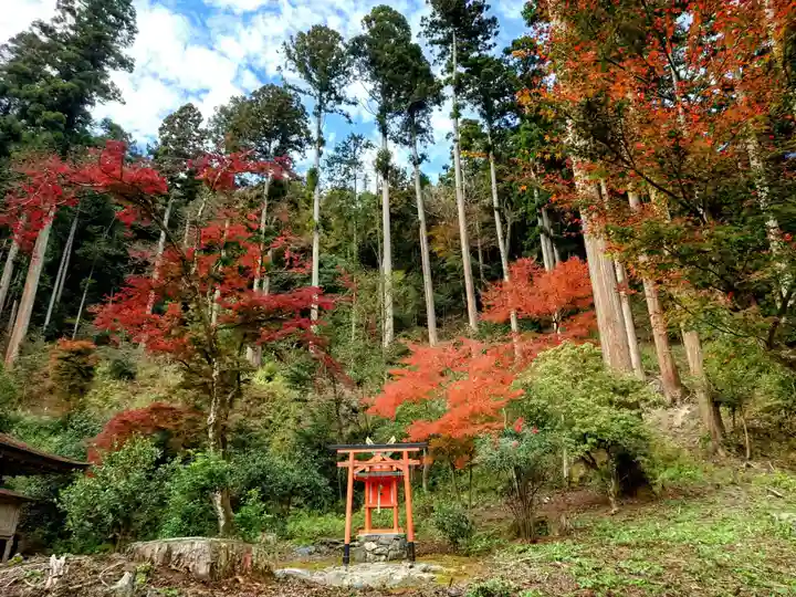 高山寺(京都府)
