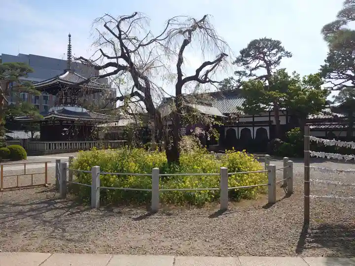 護国寺のその他建物