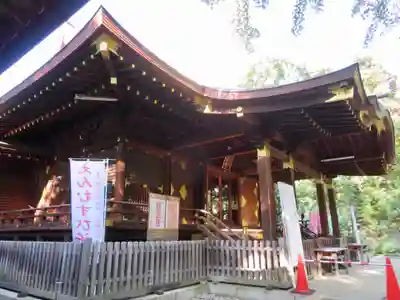渋谷氷川神社の本殿・本堂