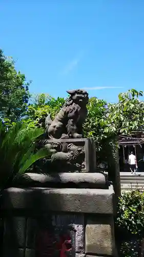 若宮八幡宮 の狛犬