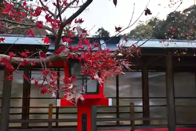 大原野神社(京都府)