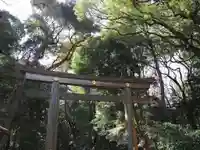 明治神宮(東京都)