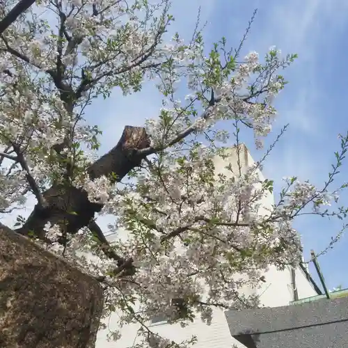 皆中稲荷神社の自然