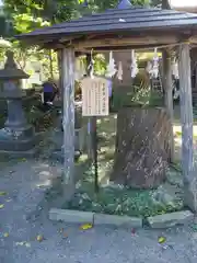 御霊神社(神奈川県)