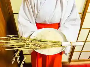 大宮八幡宮(兵庫県)(2022年11月25日(金) 14時28分59秒投稿)