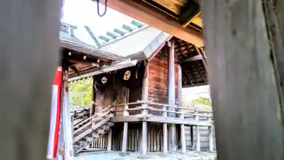 龍神社の本殿・本堂