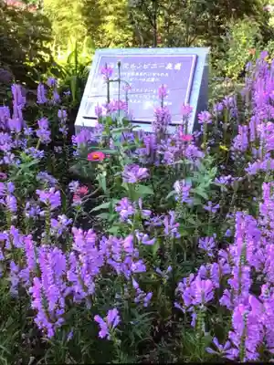 福蔵院(東京都)