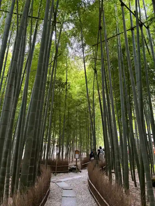 報国寺の御朱印