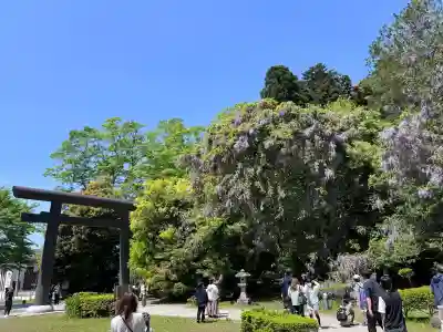 鹿島神宮(茨城県)