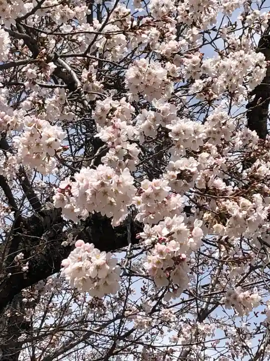 伏木香取神社の自然