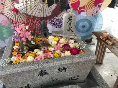札幌諏訪神社の手水舎