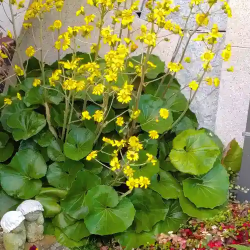 寿量山　速成寺の自然