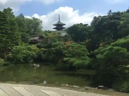 仁和寺の庭園