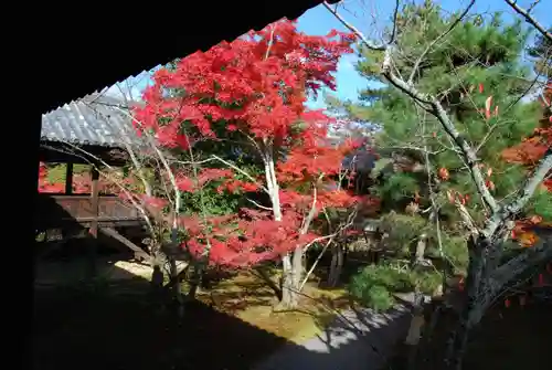 清凉寺(京都府)