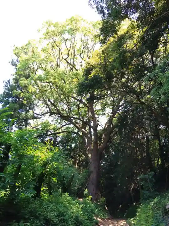 桜井大神宮(福岡県)