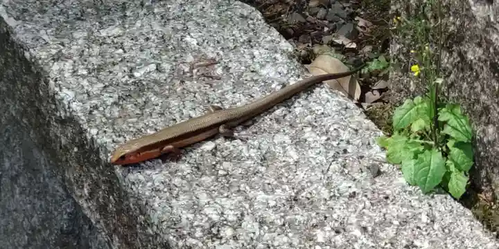 崇道神社(京都府)
