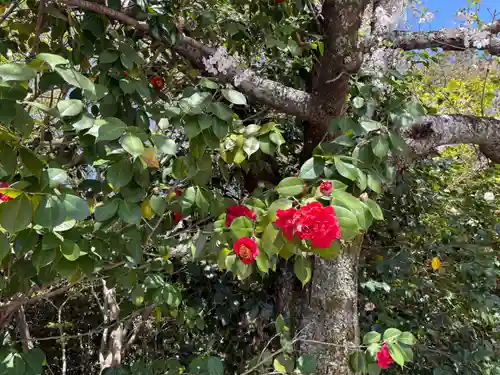 聖天宮 西江寺(大阪府)