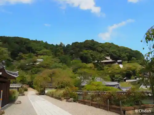 長谷寺(奈良県)