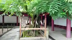 笠間稲荷神社(茨城県)