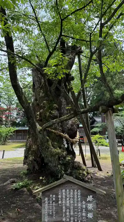 蠶養國神社(福島県)
