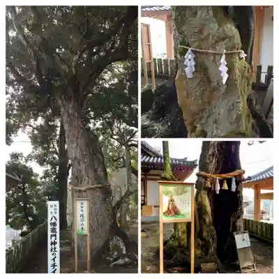 八幡竃門神社(大分県)