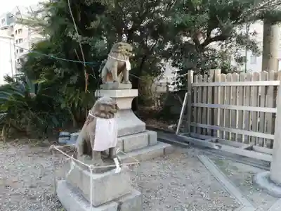 海神社の狛犬
