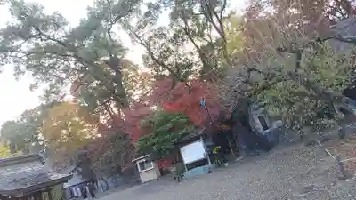 北野天満宮(京都府)