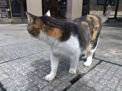 氷川神社(福井県)