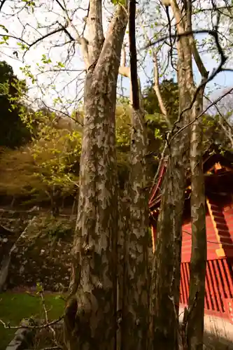 談山神社(奈良県)
