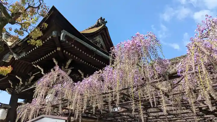 六孫王神社(京都府)