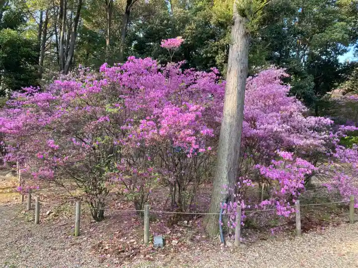 廣田神社(兵庫県)