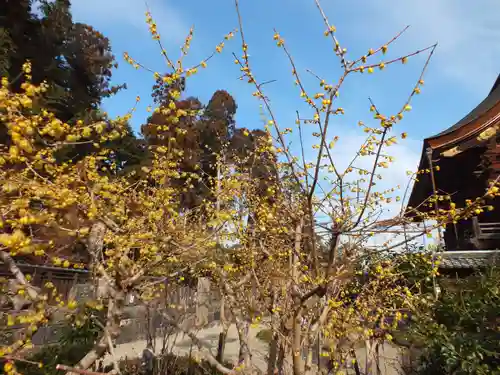沙沙貴神社のその他建物