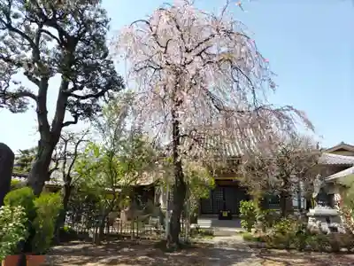 福泉寺(東京都)