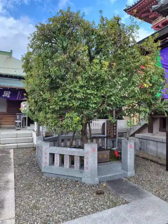 大坊本行寺(東京都)