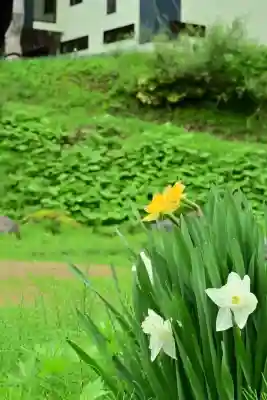 竹之高地不動社(新潟県)