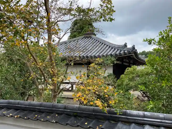 東大寺(奈良県)