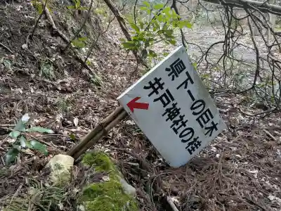 井戸神社の{uncategorized: "未分類", other: "その他", undefined: "問題あり", building: "その他建物", grave: "お墓", sacred_gate: "鳥居", guardian: "狛犬", statue: "像", buddha: "仏像", history: "歴史", nature: "自然", garden: "庭園", animal: "動物", pagoda: "塔", temizu: "手水舎", mountain_gate: "山門・神門", sanctuary: "本殿・本堂", subordinate: "末社・摂社", art: "芸術", scenery: "景色", jizo: "地蔵", ema: "絵馬", goshuin: "御朱印", omikuji: "おみくじ", items: "授与品その他", amulet: "お守り", goshuincho: "御朱印帳", eats: "食事", festival: "お祭り", votive_dance: "神楽", shichigosan: "七五三参", wedding: "結婚式", experience: "体験その他", initially: "初詣", around: "周辺", anti_infection: "感染症対策"}
