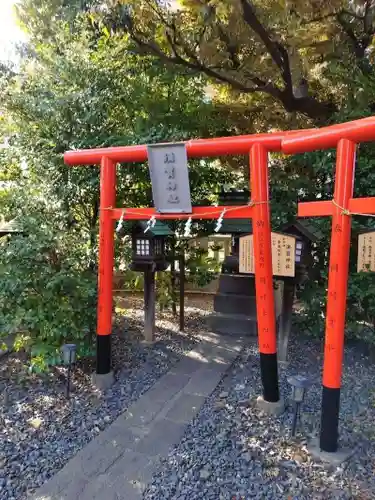 朝日氷川神社(埼玉県)