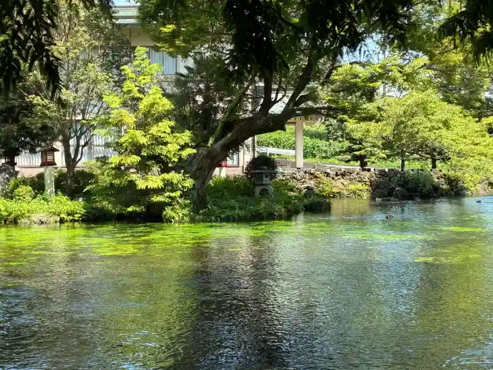 富士山本宮浅間大社(静岡県)